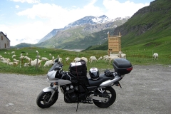 galles_35