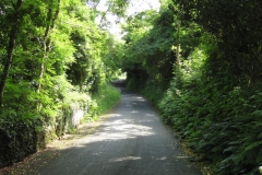 galles_50