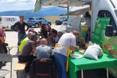 IMG-20240728-WA0030
