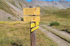 IMG-20240906-WA0011