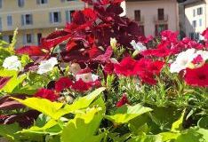 IMG-20240907-WA0010