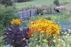 IMG-20240907-WA0024