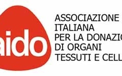 sponsor_aidomelzo