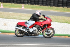 Onio_2